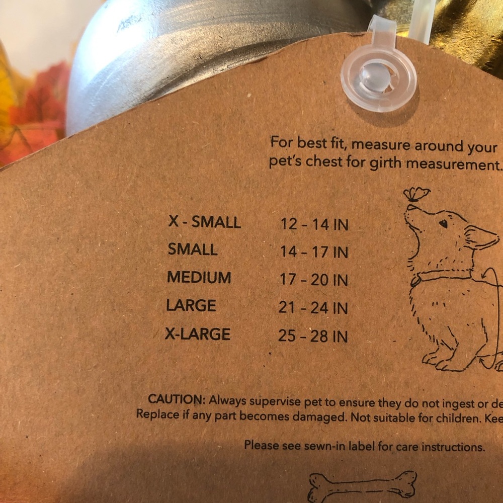 New Rae Dunn Dog Apparel - Picture 6 of 6